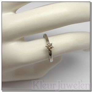 Witgouden ring met diamant 0,25 karaat (14k)
