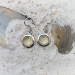 Zilveren oorbellen met ronde facet geslepen edelstenen