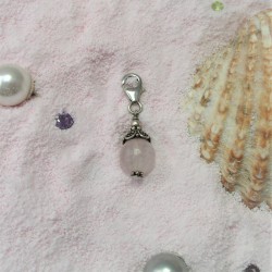 Karabijnhanger met...