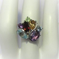 Elegante multicolourring