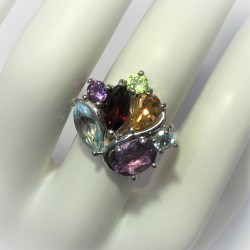 Elegante multicolourring